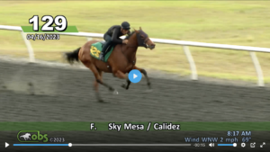 For Love and Honor, out of Sky Mesa, stretches out on a Florida track