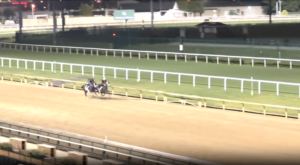 Toasted Roll works out under the lights at Keeneland