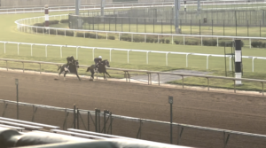 Screen of workout video with Toasted Roll on the Keeneland track.